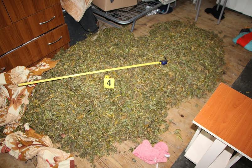 Itali, shqiptari tymos në shtëpi, karabinierët i gjejnë 100 kg drogë poshtë krevatit