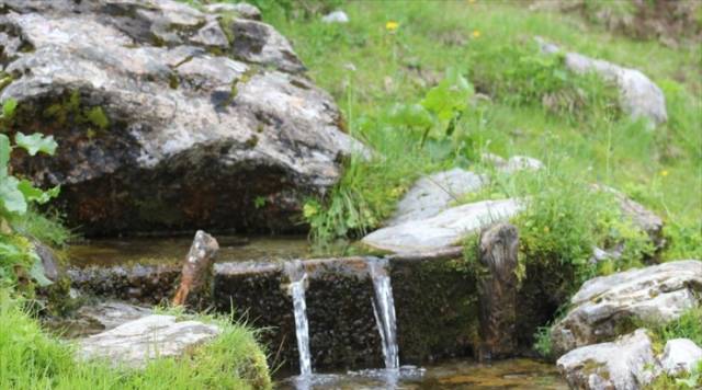 Kufiri mes Kosovës e Shqipërisë…, veç një krua që lidh edhe në krushqi