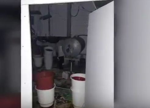 VIDEO/ Vlorë, zbulohet një laborator droge me llamba elektrike