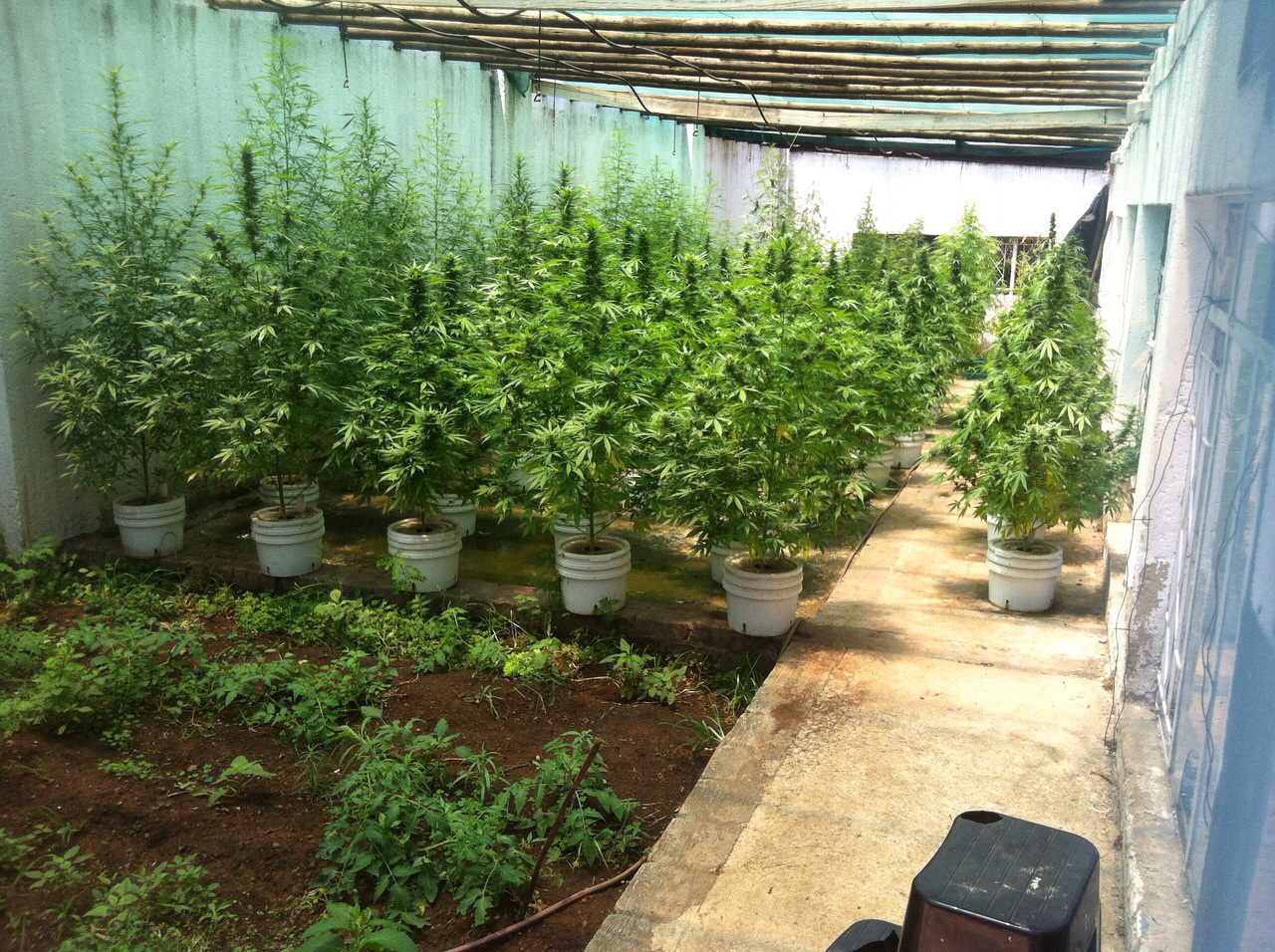 Vëllai i Ziver Veizit u arrestua për laborator droge, lajmi u mbajt i fshehtë