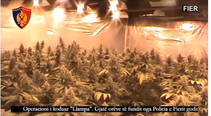 Laboratori i Fierit, 10 arrestime në cast, aksionerë në laborator  dhe OSSHE