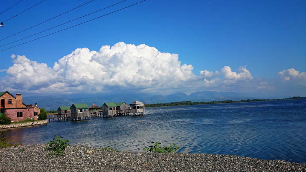 PËRGJAKJA NE LAÇ/Laguna e Patokut, si lindi sherri mes dy familjeve pas një tenderi të dyshimtë