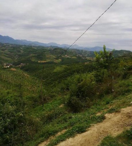 Zhduken paratë e landfildit, 5 zyrtarë në pranga