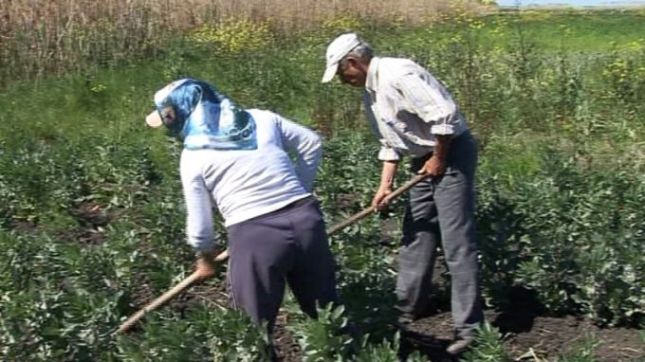 Irena Beqiraj: Deri të hënën fermerët duhet të pajisen me nipt