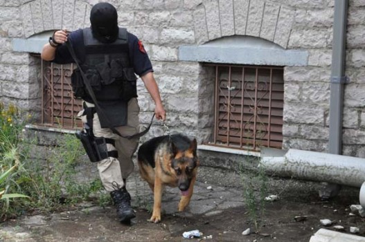 BETEJA E LAZARATIT/Dorëzohet 17 vjecari i listës! Por jo te policia, tek gazetarët