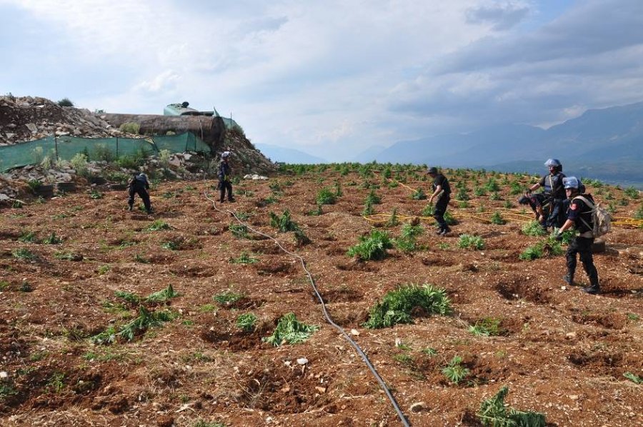 Gjykim i shkurtuar në Tiranë për grupin e dytë të lazaratasve