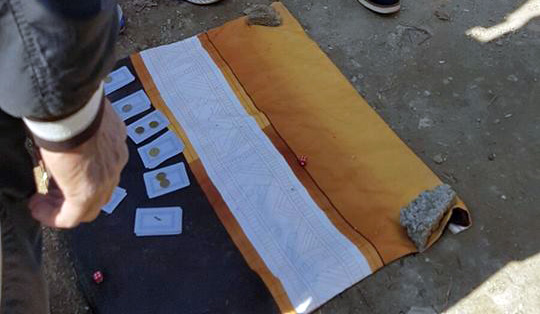 Ndryshimet e qeveri, ironia e Blushit: Rama, bixhoz me kokat e ministrave