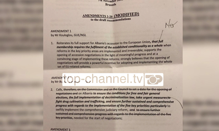 PD reflekton frymën e  BE për negociatat, kusht  zgjedhjet dhe dekriminalizimi