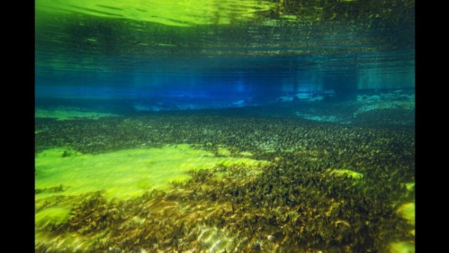 FOTO/ Liqeni i shenjtë me ujërat më transparente!