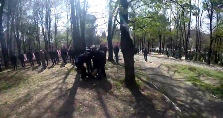 Please insert document title