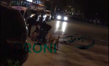 VIDEO EKSKLUZIVE/ Grinden lypësit, qentë e tyre “nuk lejojnë” policinë të bëjë detyrën