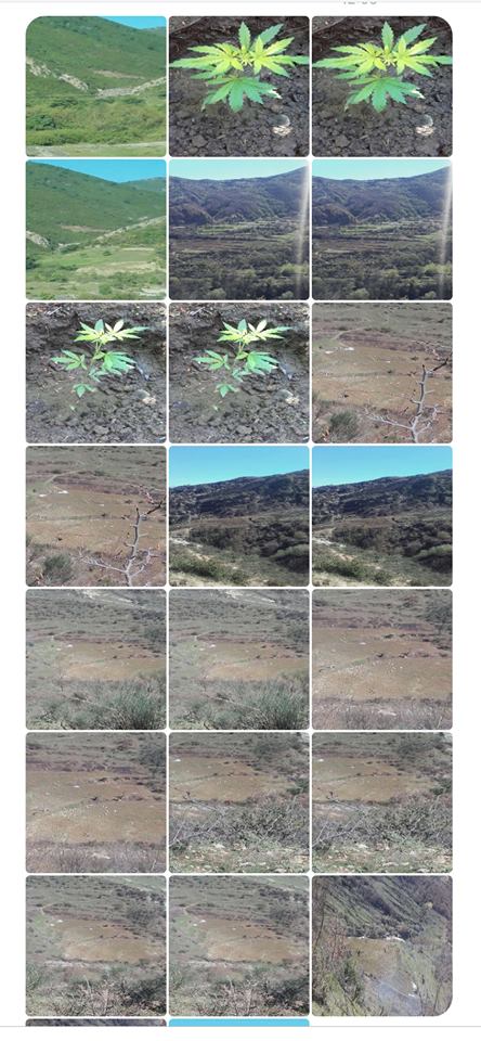 FOTOLAJM/”Ne arat e Saje qorrit dhe Edvin Shullazit ne luginen e Luftinjes! “