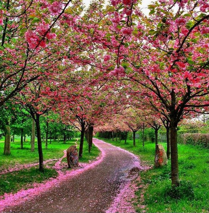 FAIK KONICA/Ç’është Dita e Verës?