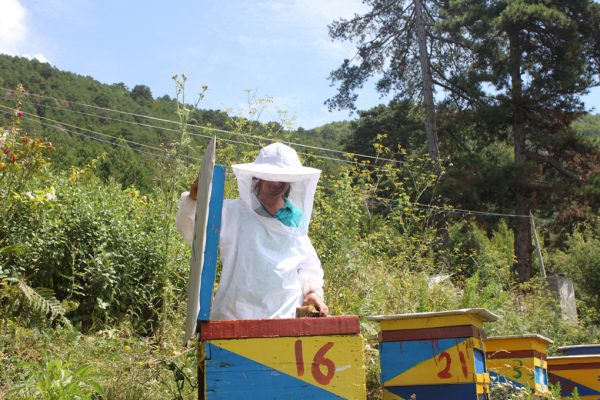 PROFIL/Të gjesh punë duke bashkëpunuar me bletët, gratë e Gjinarit me markën e tyre