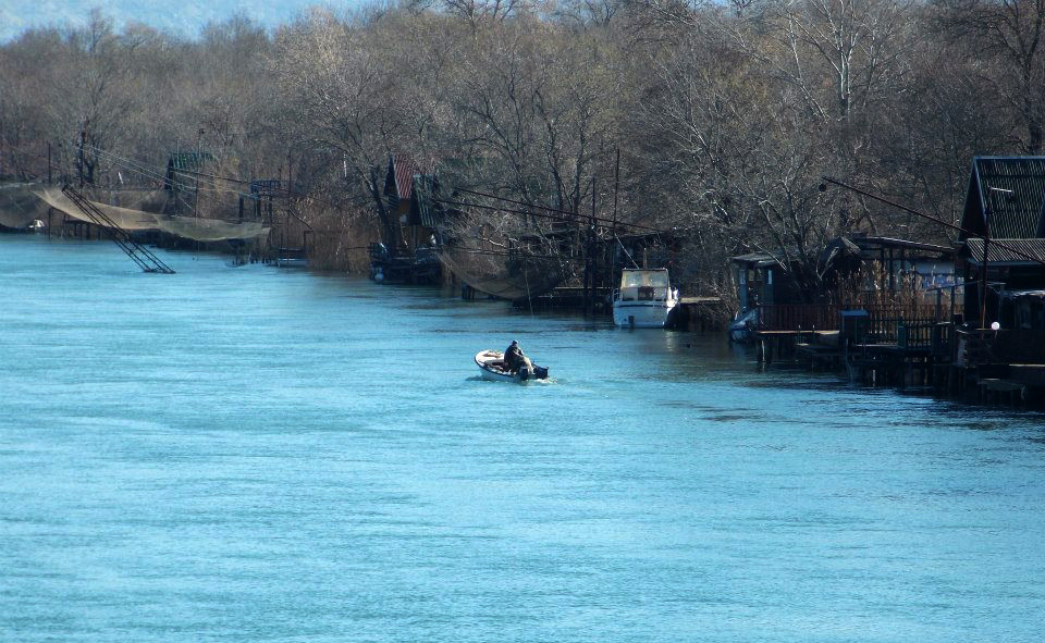 Gjendet trupi i 14-vjeçarit, u mbyt 4 ditë më parë në Bunë