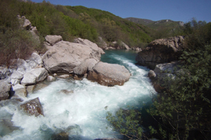 Një cek mund të jetë mbytur në lumin Kir