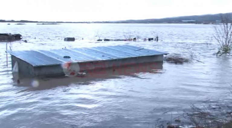 Çahet argjinatura e lumit Shkumbin, përmbytje në Lushnje, Divjakë Rrogozhinë