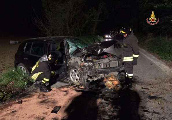 FOTO/ Makina përplaset me pemën, në gjendje të rëndë tre të rinj shqiptarë