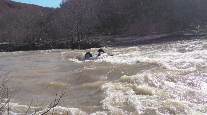 Përfundon në Shkumbin maqedonasi me gjithë makinë