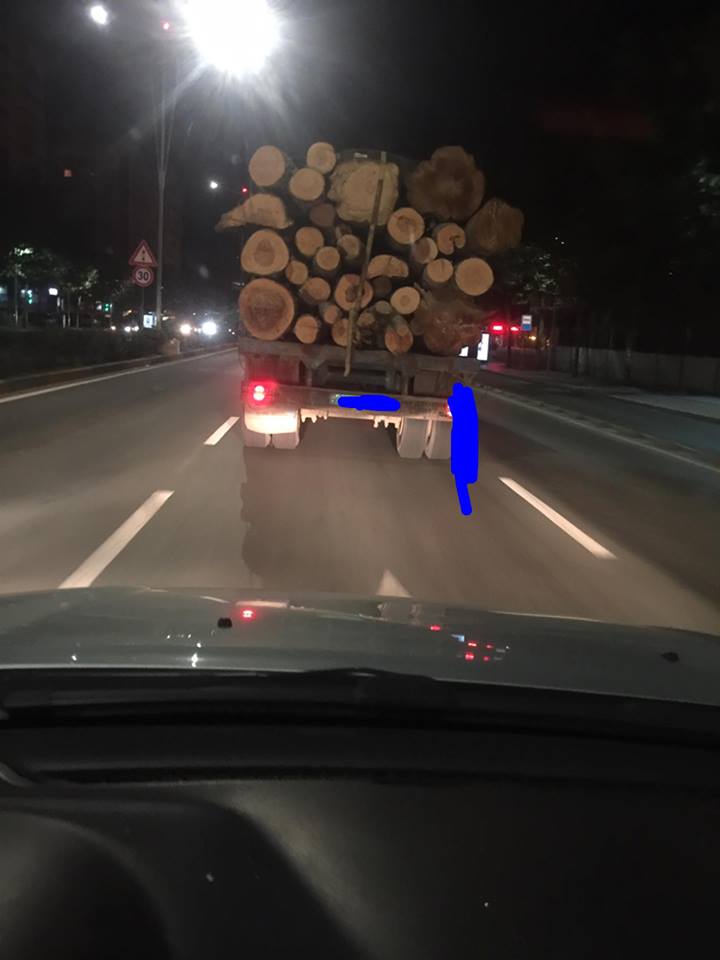 VIDEO SKANDAL/ Bulqizë, kontrabandistët e druve bëjnë namin, nuk pyesin as për moratoriumin e pyjeve