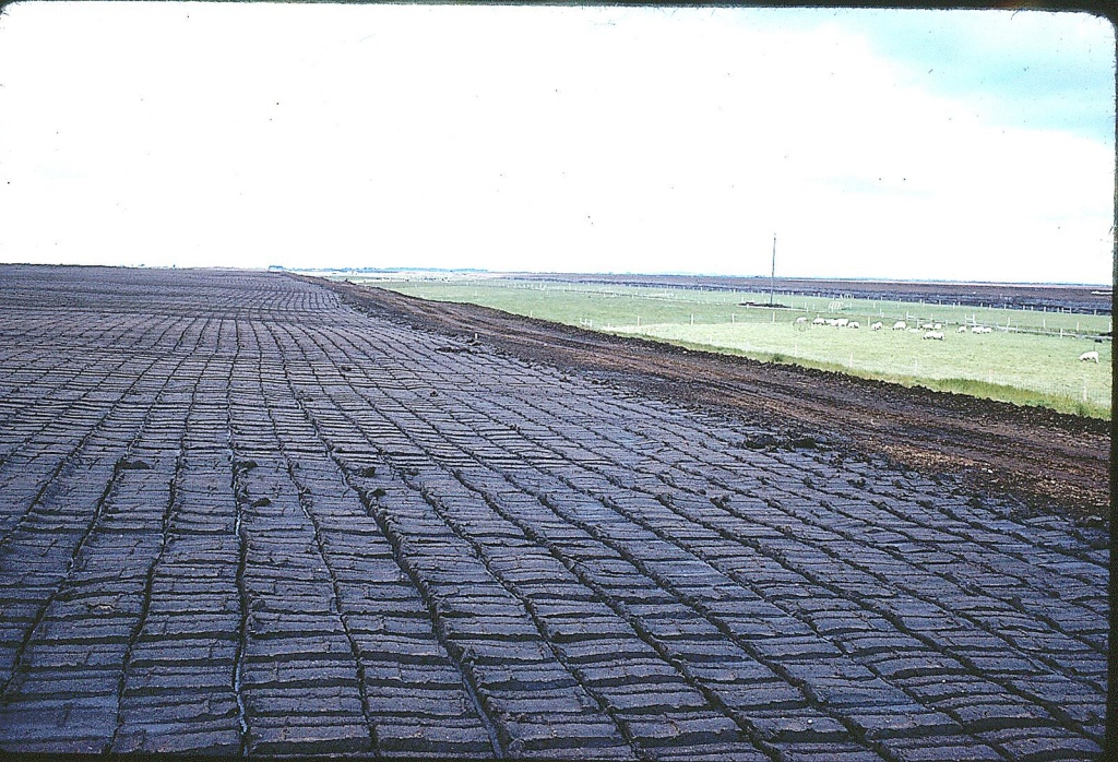 Qeveria, termocentral qymyri në fushën e Maliqit