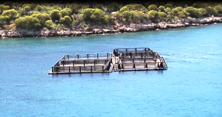 FOTO GALERI/ “Bregdeti i Jugut mbillet me ndërtime të paligjshme nën komandën e Kokëdhimës”