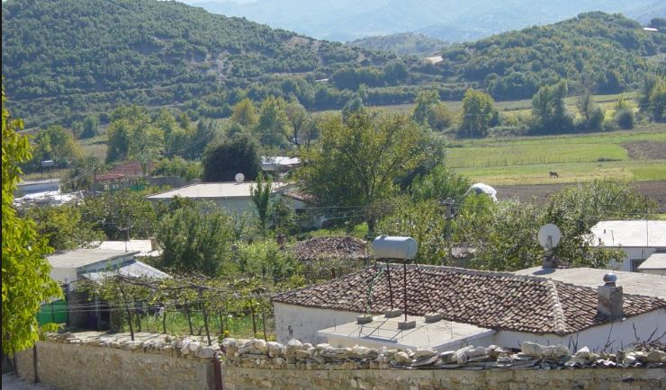 DETAJET/Vrasja në Vlorë, 1 në pranga, 2 vëllezër në kërkim