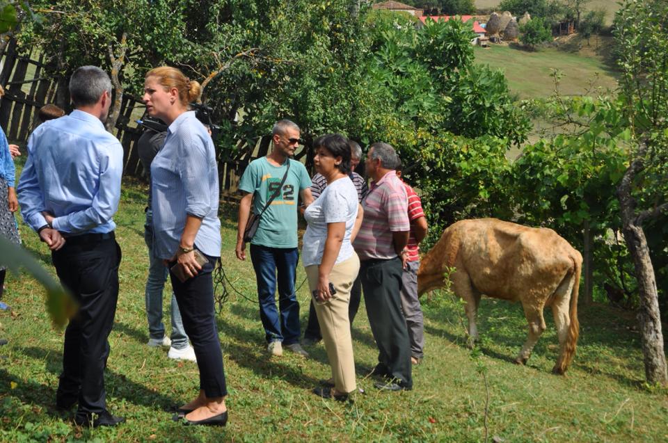 MESAZHET/Hajdarmataj bën për një lek Edmond Panaritin