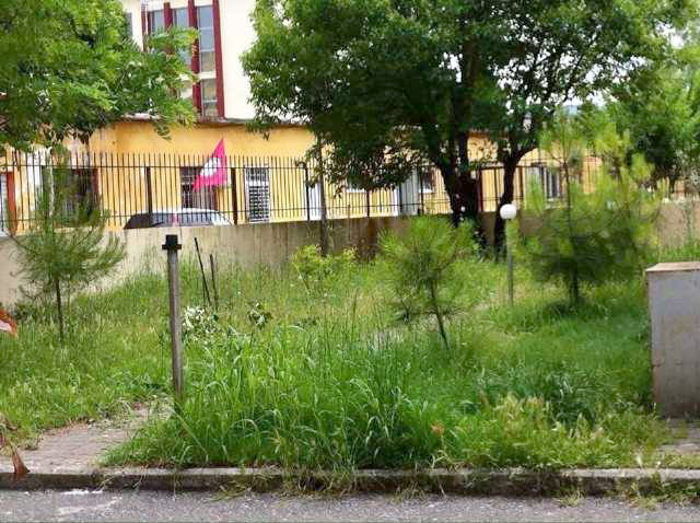 FOTO LAJM/ Në Shkodër rilind edhe morgu