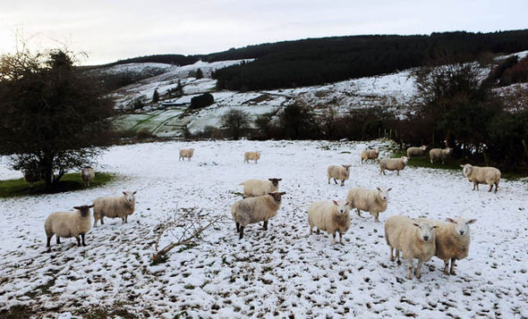 Metereologët gjejnë edhe sa ditë do të vazhdojë moti i acartë