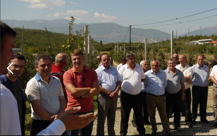 Përfaqësuesi i PDIU kap për veshi kandidatin socialist Rama