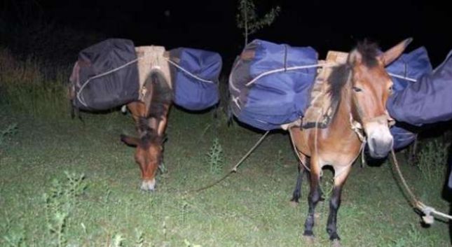 “QUARANTA”/ Drogë me mushka nga Lazarati drejt Europës, 7 të arrestuar