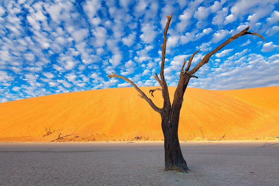 FOTO/ Madhështia e shkretëtirës së Namibisë