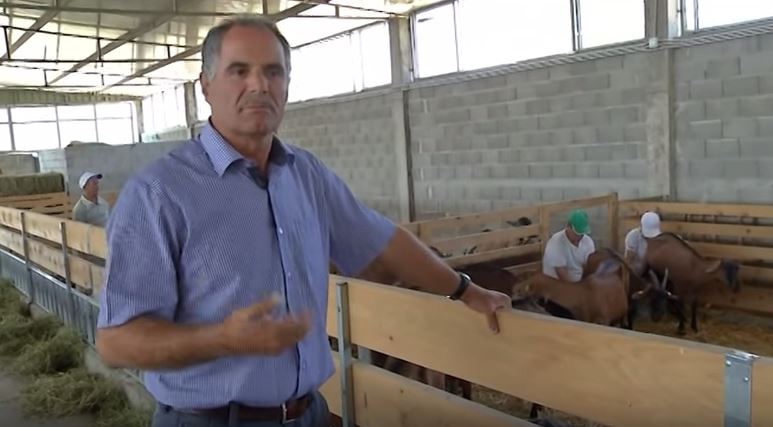 Nga deputet në fermer, historia  e blegtorit Ndre Legisi