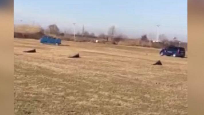 VIDEO/ Ja si u plagos dhe u arrestua grabitësi që plagosi policin në kokë