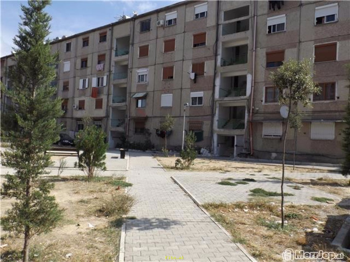 35-vjeçarja hidhet nga pallati në Lushnje dhe vdes