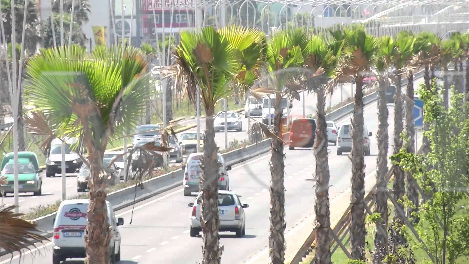 “Hidhen në kosh” 600 mijë eurot për palmat, autostrada  Tiranë-Durrës do të zgjerohet