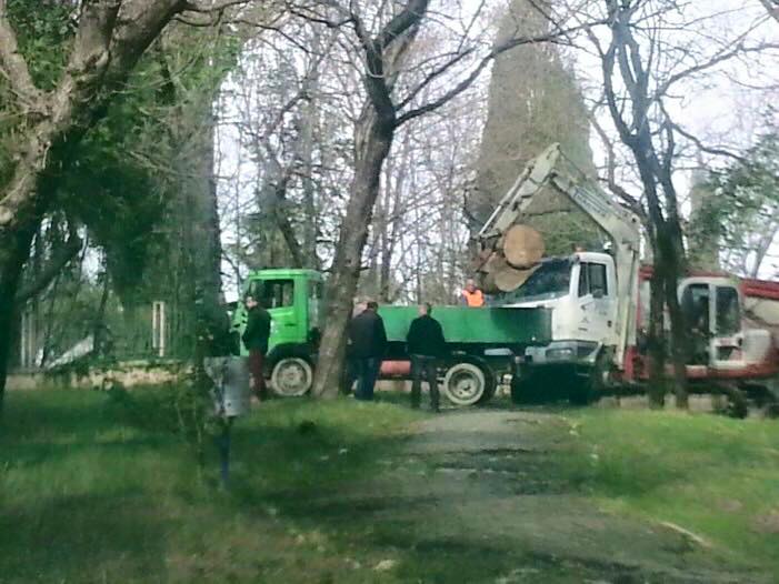 Abi Malltezi zbulon falsifikimin e Bashkisë: Janë palaco të pafytyrë!