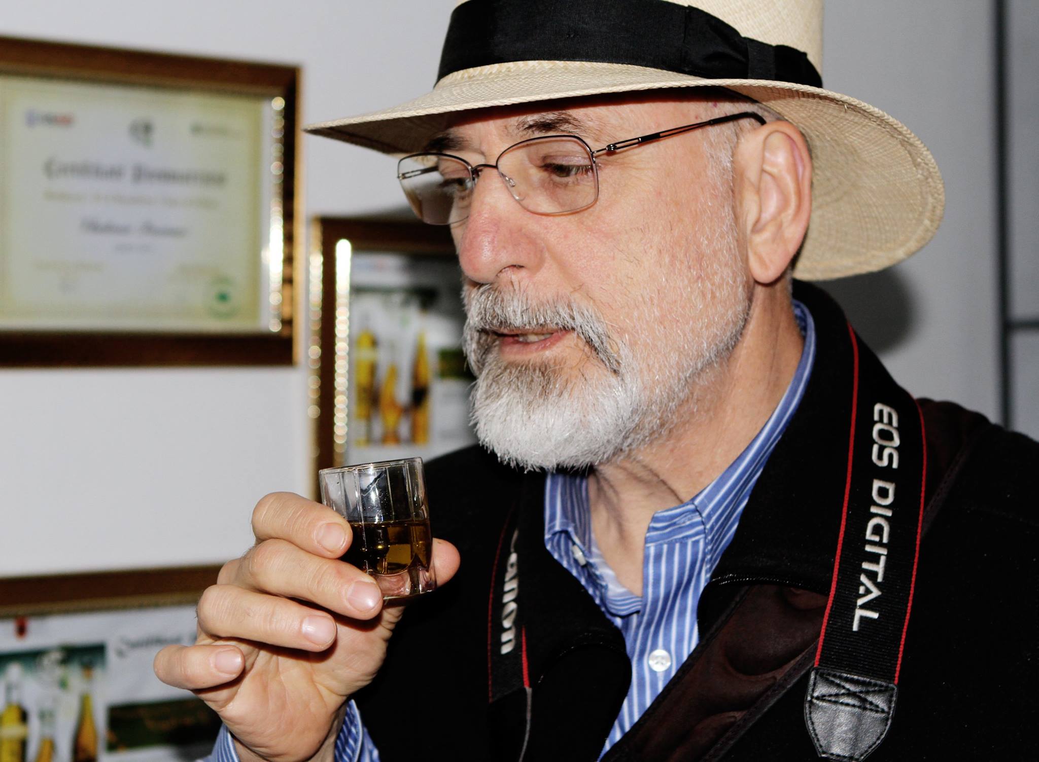 Një amerikan në ullishtet shqiptare për bërë të njohur në botë vajin e ullirit