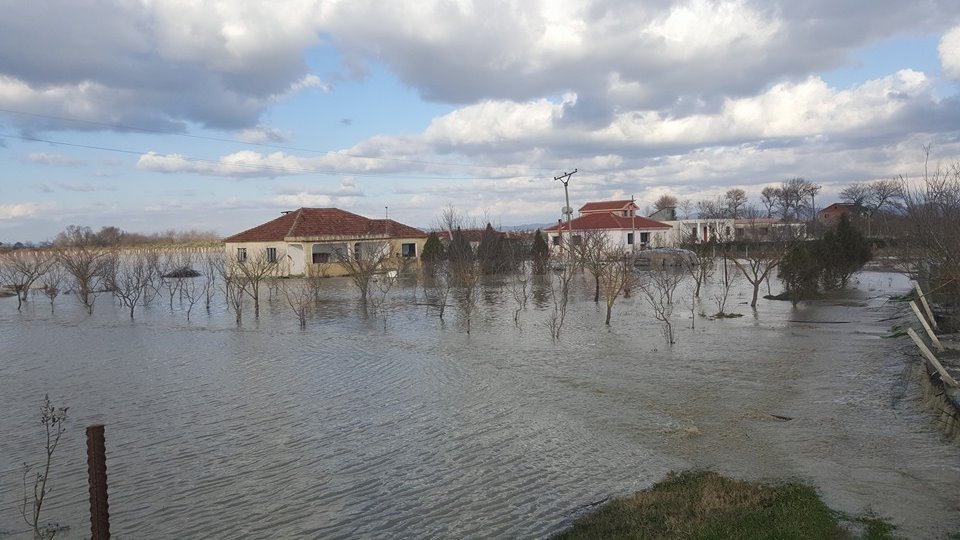 Në Lushnje e Shijak, 3 mijë ha tokë nën ujë, shkatërrohen disa ferma dhe biznese