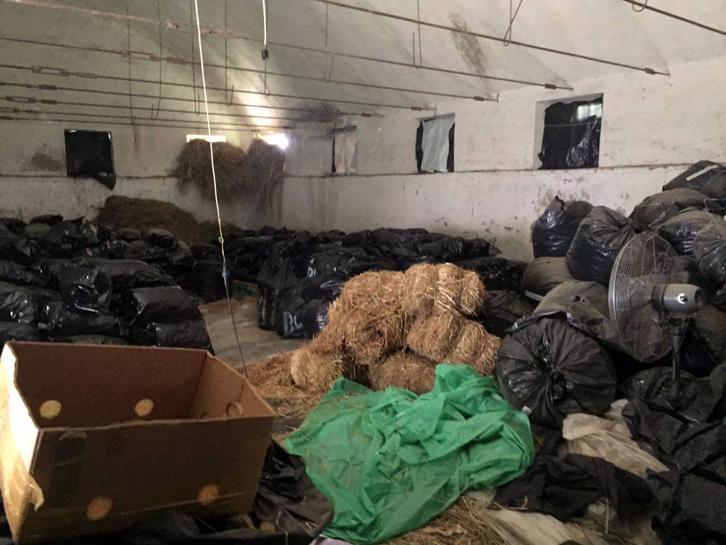 EMRAT & VIDEO/ Furtunë në Policinë e Përmetit, shkarkohet kupola drejtuese për 12 ton drogë