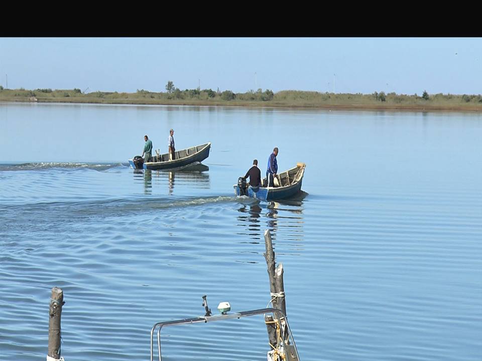 Kurbin, sherr për vendin e peshkimit tre të plagosur në Lagunën e Patokut