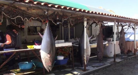 Deputeti I PD ironizon darkën Rama-Meta: Peshku është qelbur prej kohësh