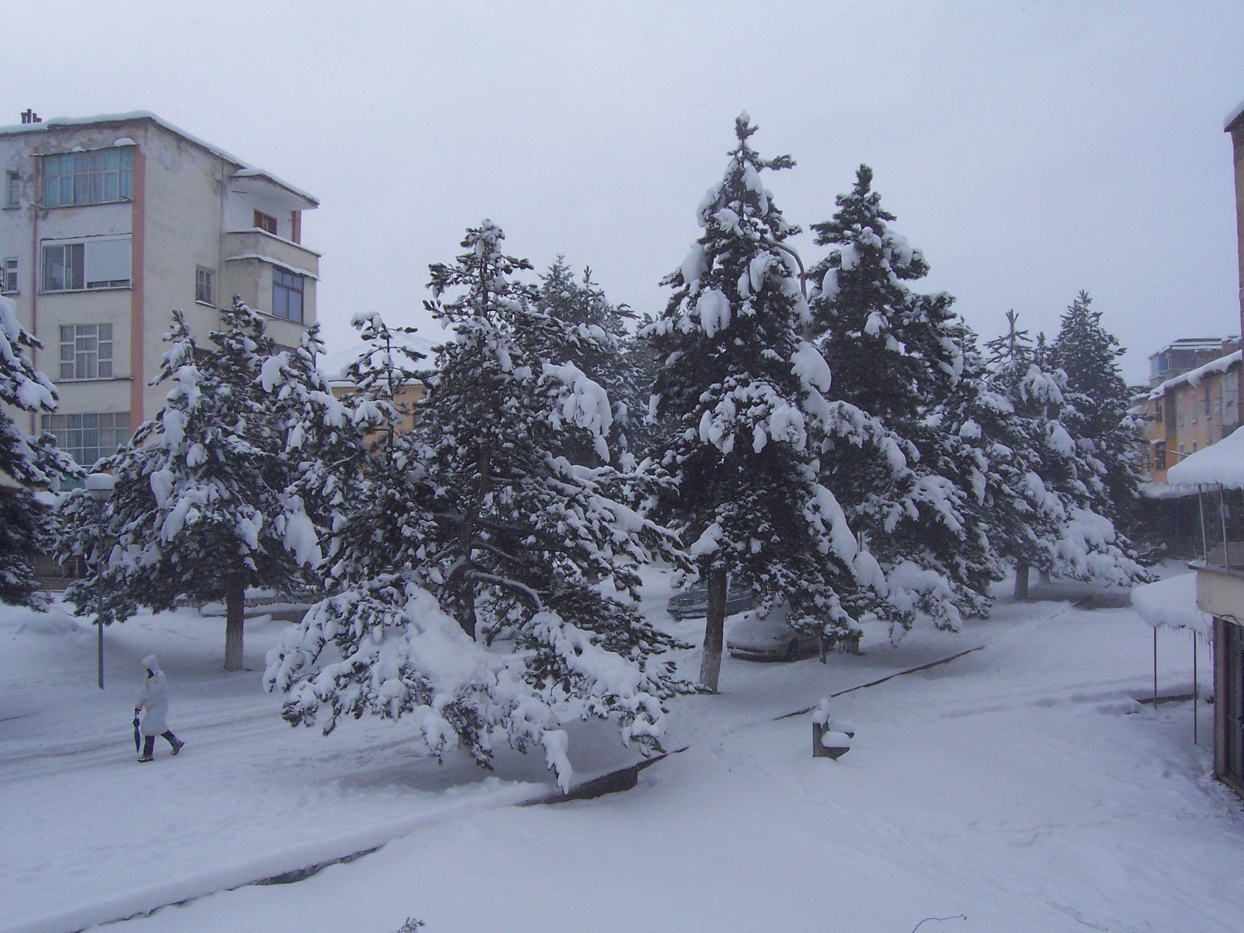 Urdhërohet mbyllja e çerdheve, kopshteve dhe shkollave deri më 16 janar