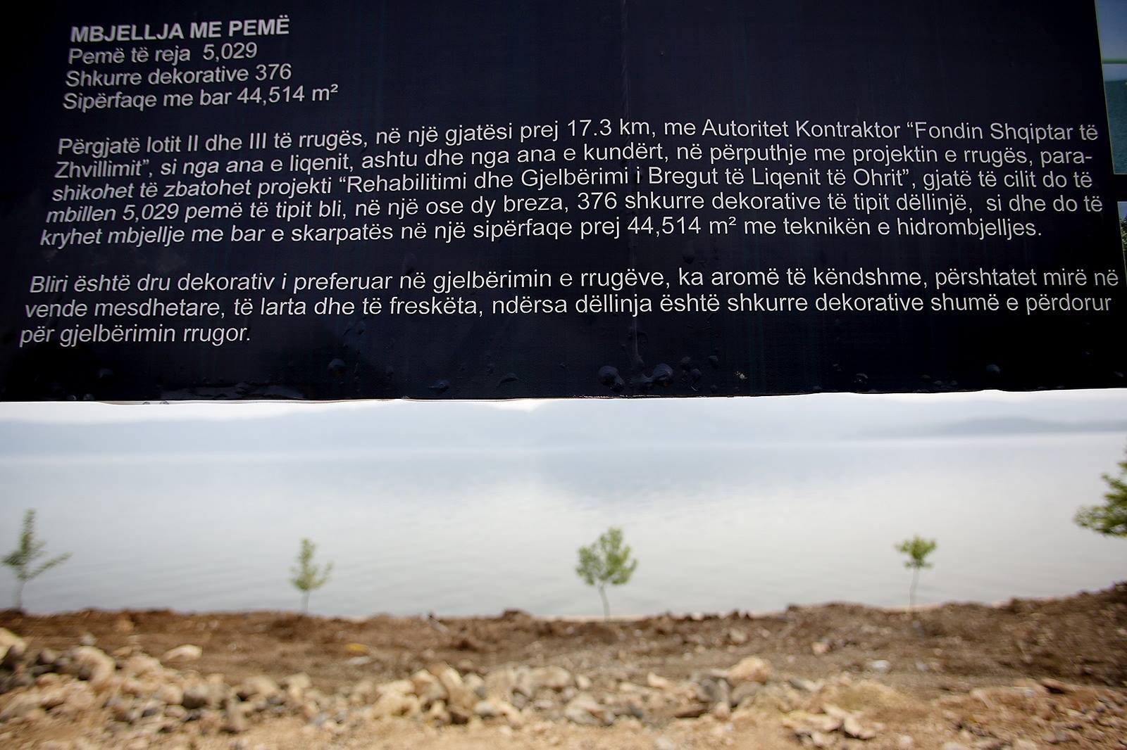 FOTOLAJM/Bregu i liqenit të Pogradecit , 5000 blirë në dy anët e rrugës