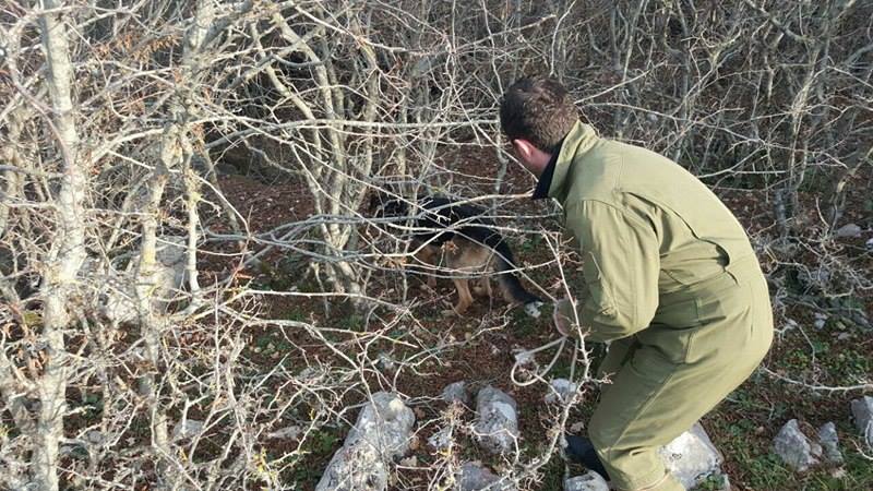 Ekzekutim në Kurbin, vritet Mark Ndreca