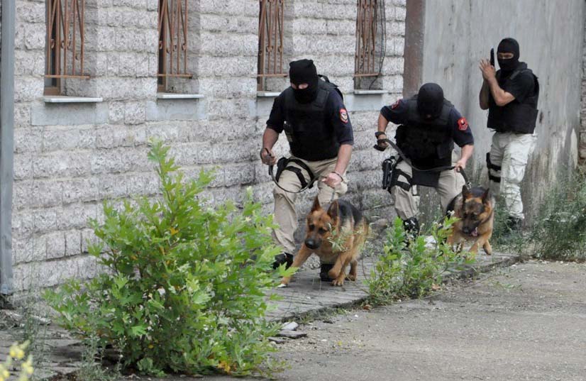 Lazarat, “Vjeshta” prangos 5 persona të shpallur në kërkim për trafik narkotikësh