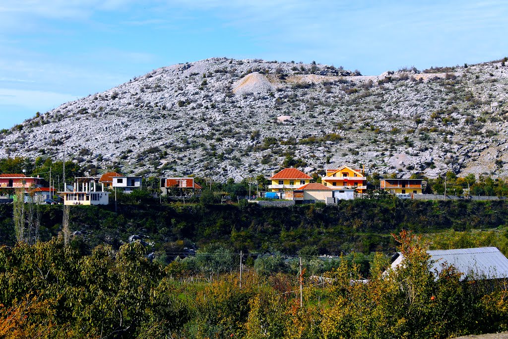 Ja cfarë denoncon sonte qytetari dixhital