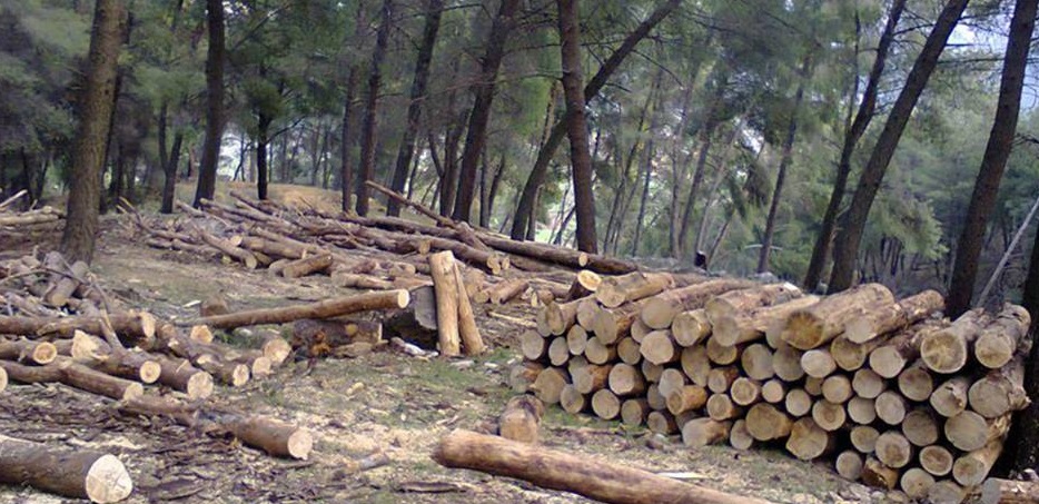 Operacioni “Pyjet”, në pranga dy doganier dhe një biznesmen