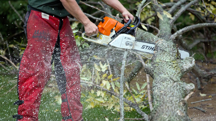 EMRI/ Këlcyrë, hakmerret ndaj bashkëfahstarit duke i prerë pemët frutore